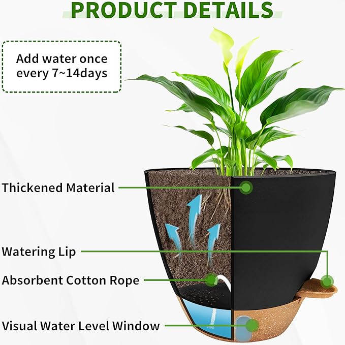 12/10/9/8 inch Self Watering Pots - Image 3