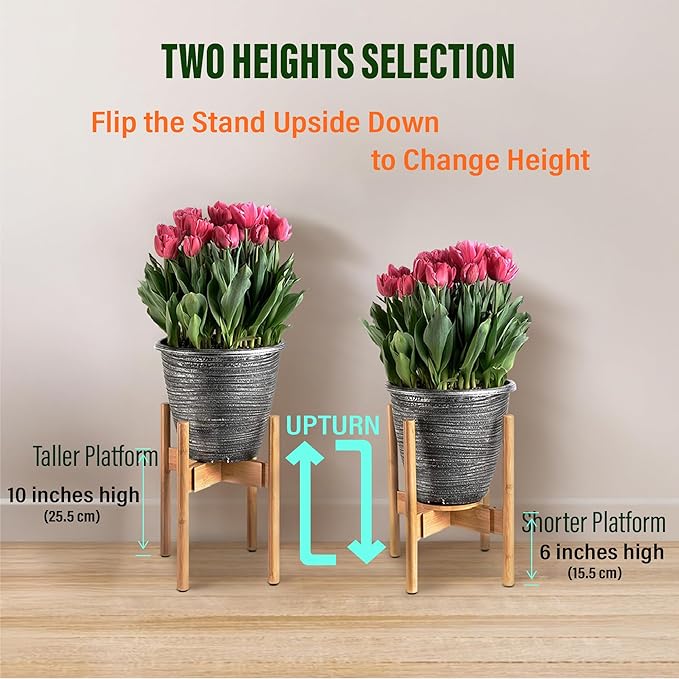 ZPirates Plant Stand for Indoor - Image 6