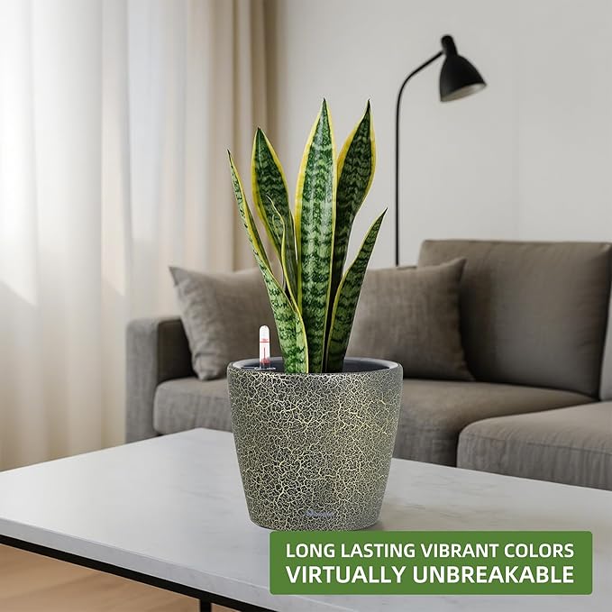 Dexceder 9x8 Inches Self Watering Planter Indoor Outdoor, Inner Pot Design - Image 6