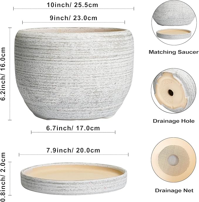 SQOWL Ceramic Flower Pots - Image 3