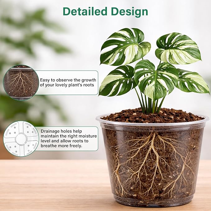 20 Pack 8/6/5/4/3.5 Inch Reinforced Large Clear Nursery Pots - Image 3