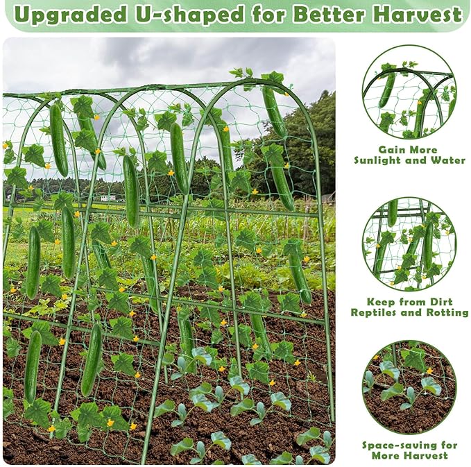 Cucumber Trellis for Raised Bed, Garden Arch Trellis for Climbing Plants Outdoor - Image 4