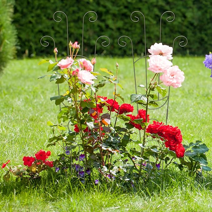 2 Pack 32.6'' Taller Plant Trellis - Image 7