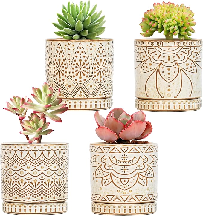 Gepege 4 Inch Small Indoor Succulent Ceramic Planter Pot by Gepege