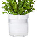 Phoenix Vine 8 Inch Self Watering Planter by Phoenix+Vine