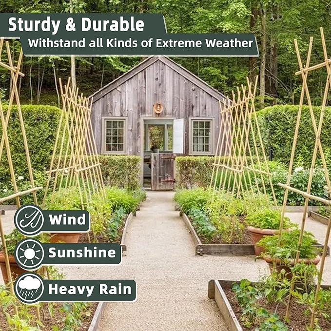 50Pcs / 2ft Bamboo Plant Stakes - Image 3