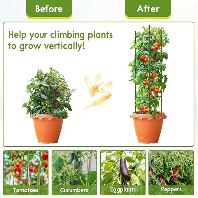 Riare 8 Pack 4 FT Tomato Cages for Garden- 48inches Heavy Duty Garden Stakes - Image 6