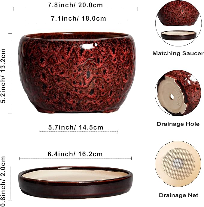 SQOWL Ceramic Plant Pots - Image 3