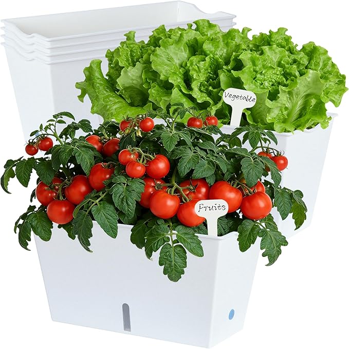 Window Box Planter 6 Pcs, 12.1 Inches Self Watering Plant Pots Rectangle Flower by Oliz