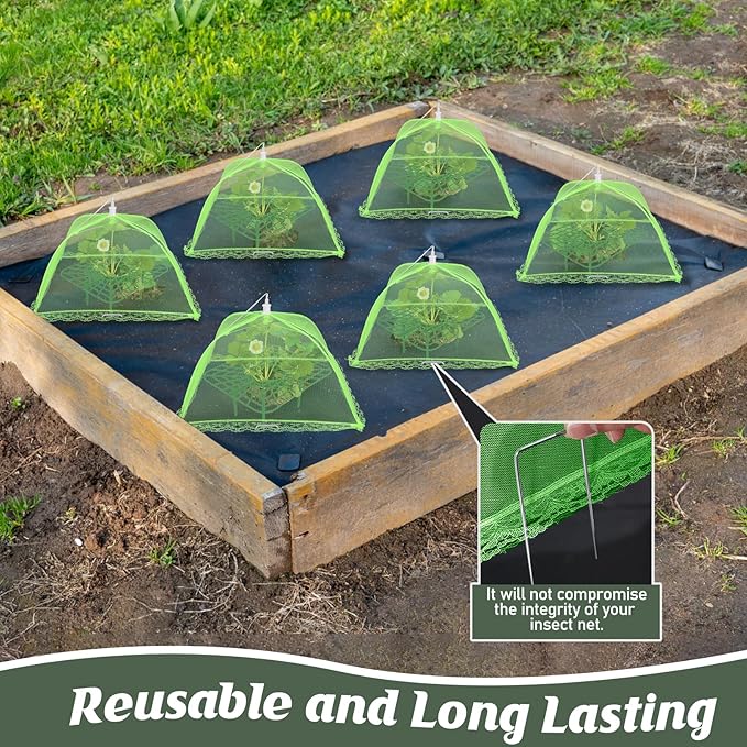 6 Sets Strawberry Plant Support - Image 4