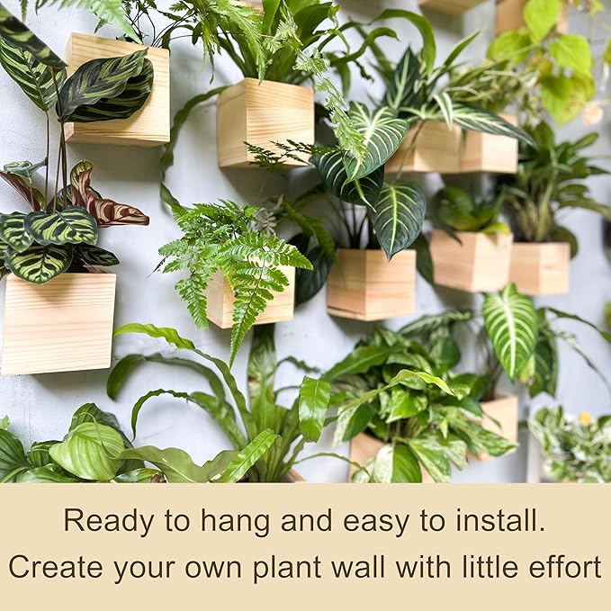 LaLaGreen Wooden Planter Box for Plants Small Square Wall Planters for Indoor - Image 6