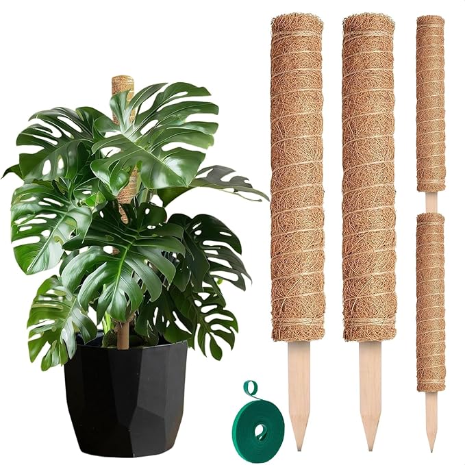 Moss Pole 26.4" Small Monstera Plant Support 2 Pcs Set by DIMROM