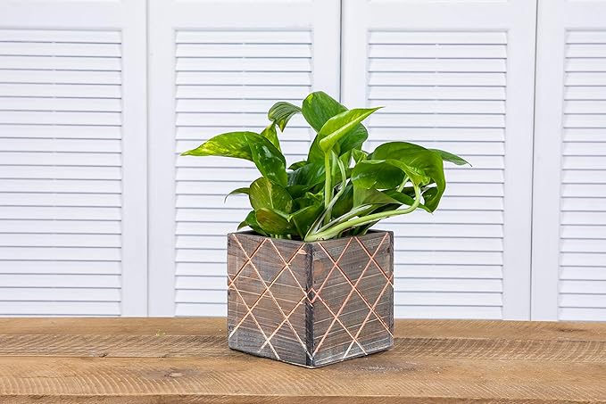 Wood Planter Box with Diamond Cross Hatch Style, 5 Inch Square, Rustic Barn Wood - Image 7