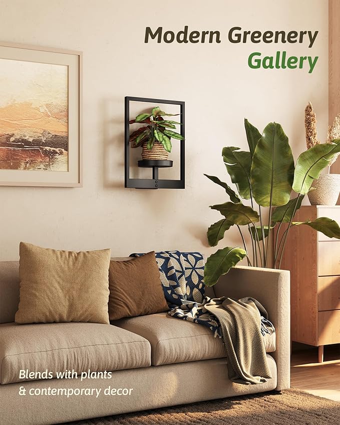 Wall Plant Holder Wall Planters - Image 3