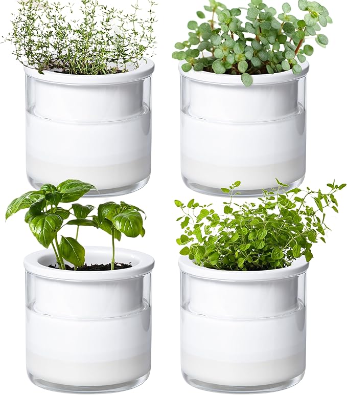 Phoenix Vine 4 Inch Self Watering Planter Pot, Design White Terracotta Pots by Phoenix+Vine
