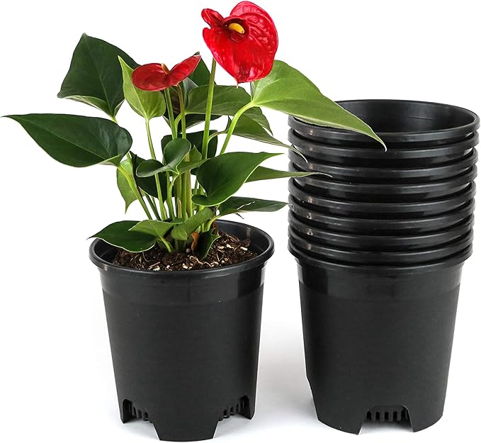 5.5 Inch Gardening Flower Pots 10-Pack Black Pot Liners 0.5 Gallon Nursery Pot by CottaPlanters