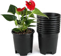 5.5 Inch Gardening Flower Pots 10-Pack Black Pot Liners 0.5 Gallon Nursery Pot by CottaPlanters