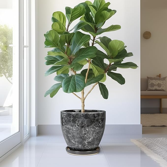 Ceramic Pots for Plants - Image 4