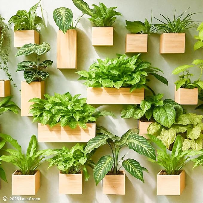 LaLaGreen Wooden Planter Box for Plants Small Square Wall Planters for Indoor - Image 8