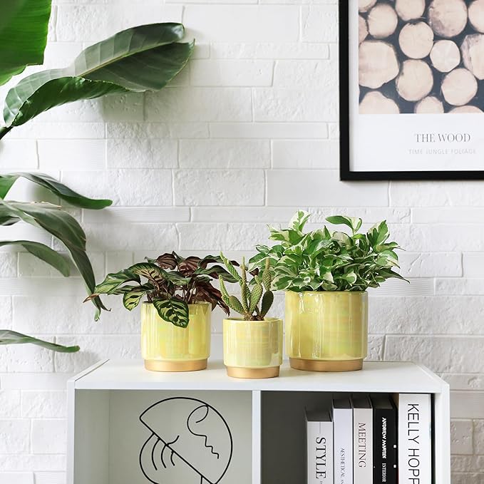 Gepege Indoor Pots for Plants, Ceramic Planter - Image 7