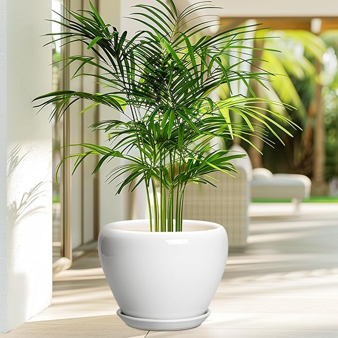 Ceramic Pot for Plants - Image 4