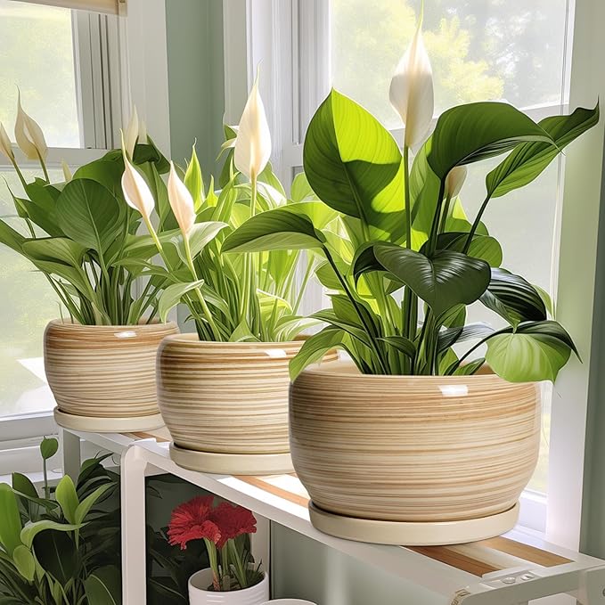 SQOWL Ceramic Planter- 8 Inch Plant Pot Indoor Outdoor, Round Planter - Image 6