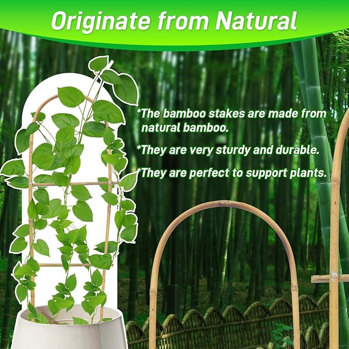 10 Pack 2ft U-Shape Bamboo Trellis - Image 3