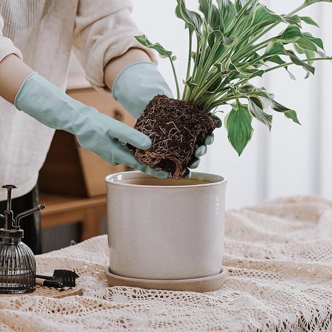 8 Inch Plant Pot: Ceramic Planter - Image 6