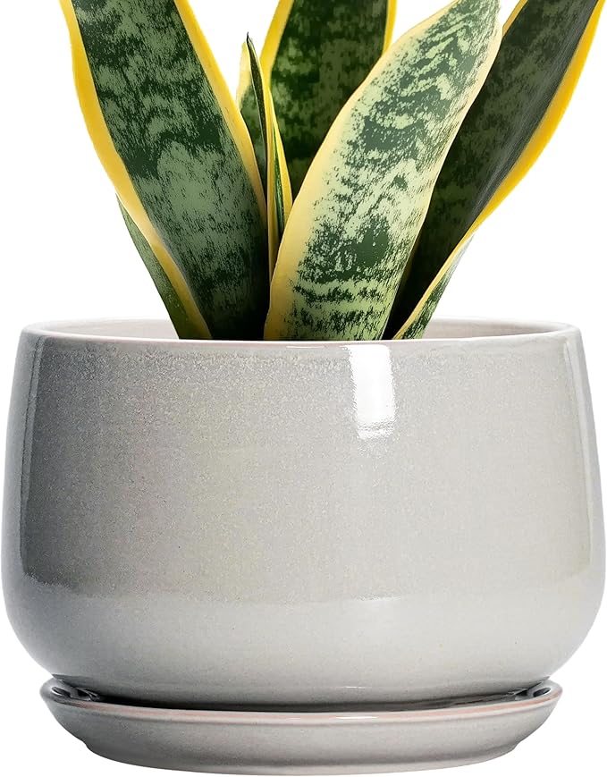 G EPGardening Ceramic Plant Pots by GEPGardening