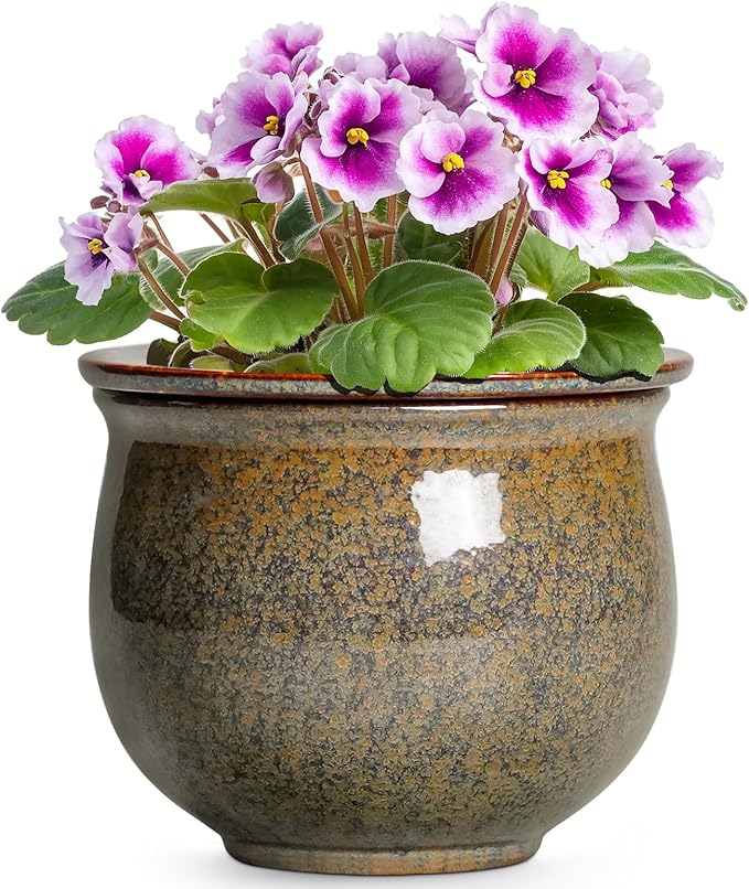 Self Watering Planters for Indoor Plants, 6 Inch Ceramic African Violet Pots by Teagas