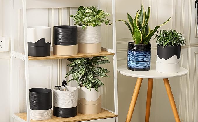 Nihow Self Watering Plant Pot: 6 Inch Ceramic Planter - Image 8
