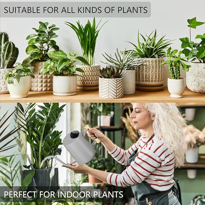 Watering Can Indoor Plants, 35oz Small Indoor Stainless Steel Metal Watering - Image 4