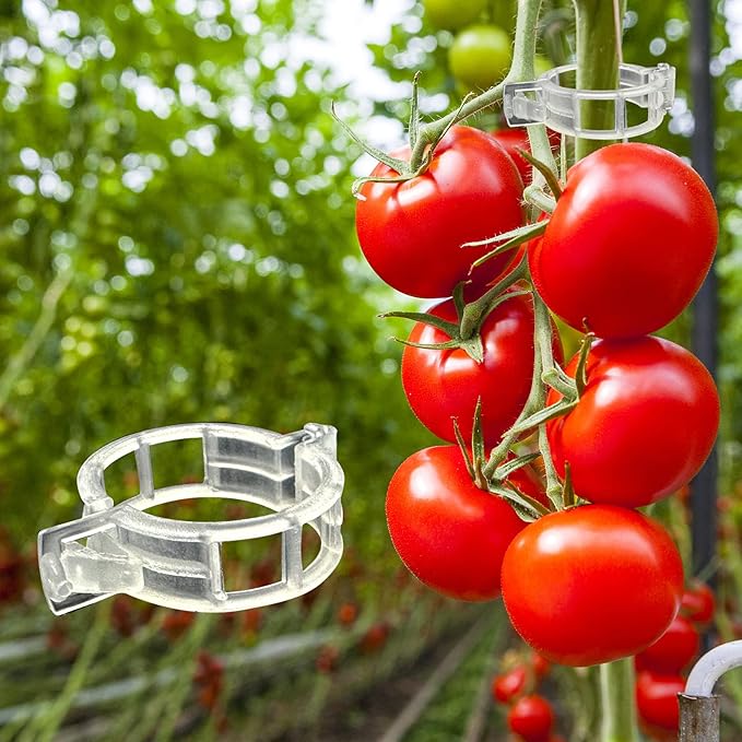 Piteno® 300Pcs Tomato Clips, Plastic Trellis Clips, Plant Support Clips - Image 4