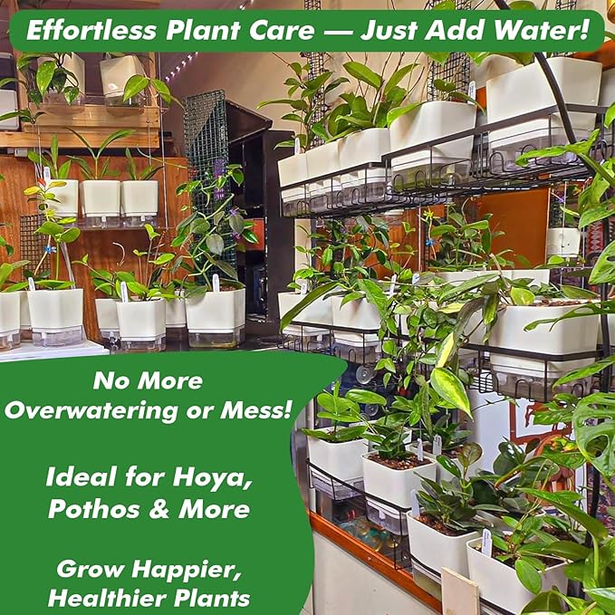 Planterhoma 6 Pack-5.5 Inch Self Watering Plant Pots - Image 7