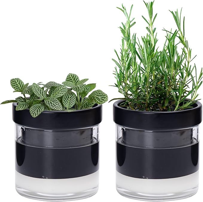 Phoenix Vine 4 Inch Self Watering Planter Pot by Phoenix+Vine