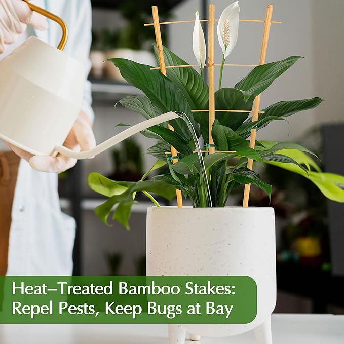 Bamboo Trellis - Image 7