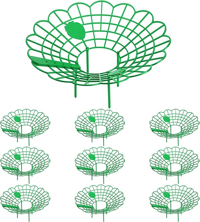 Iceyyyy 10 Pack Strawberry Plant Stand Supports-Strawberry Plant Support Stand by Iceyyyy