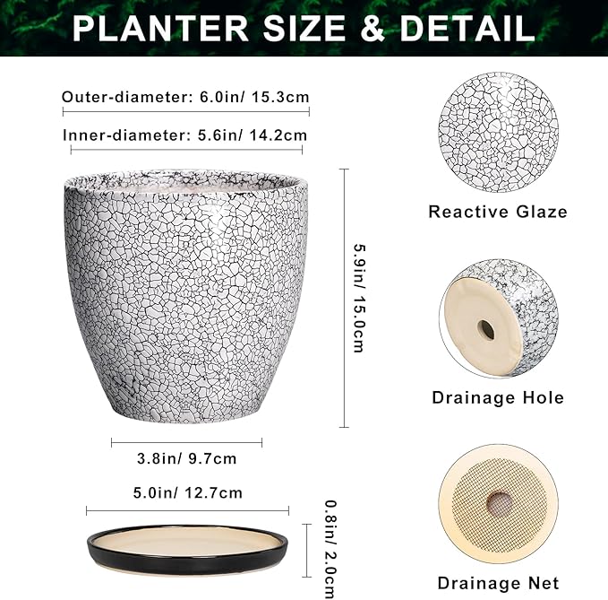 Ceramic Plant Pots - Image 2