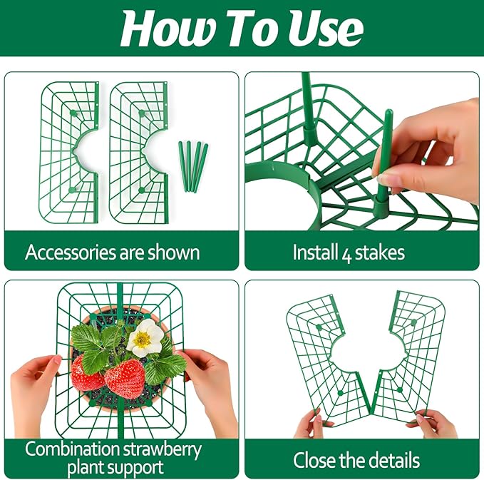6 Sets Strawberry Plant Support - Image 3