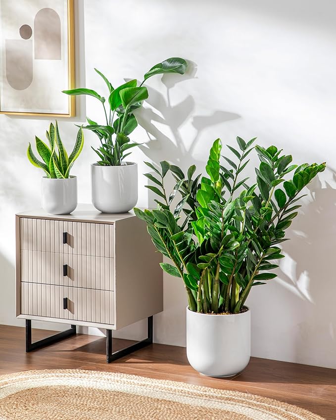 vancasso 6+8+10 inches Ceramic Plant Pots, Planters - Image 7