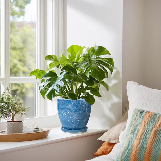 6 Inch Ceramic Plant Pot - Image 6