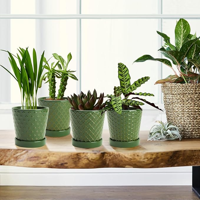 EFISPSS Ceramic Plant Pots, 5 Inch Planters - Image 4