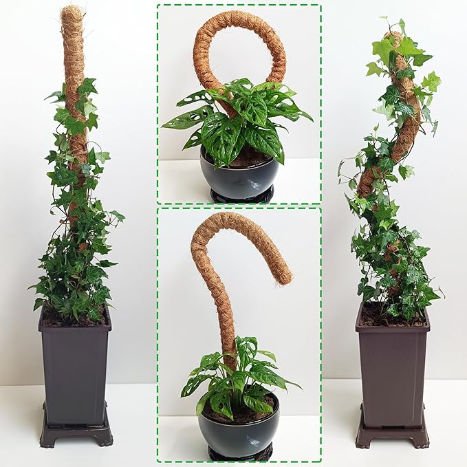 2 Pack Moss Pole, 28 Inch Bendable Moss Pole - Image 6