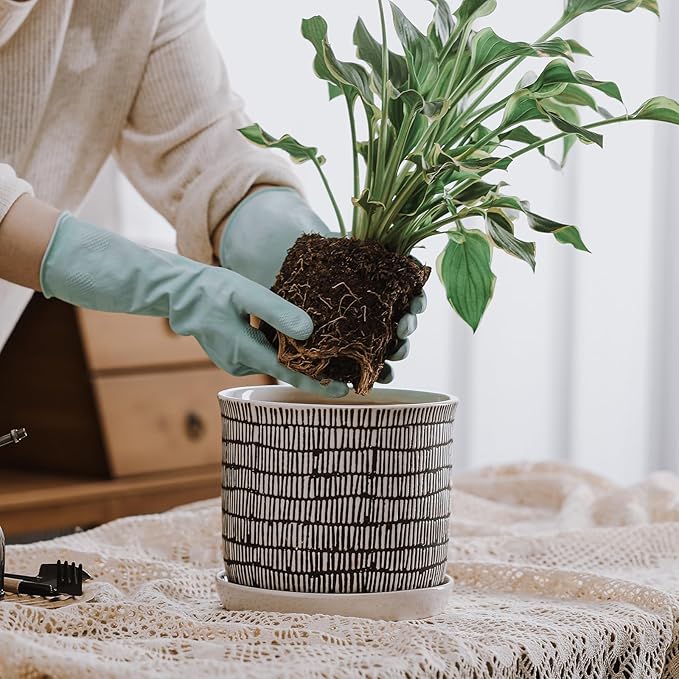 8 Inch Plant Pot: Ceramic Planter - Image 4