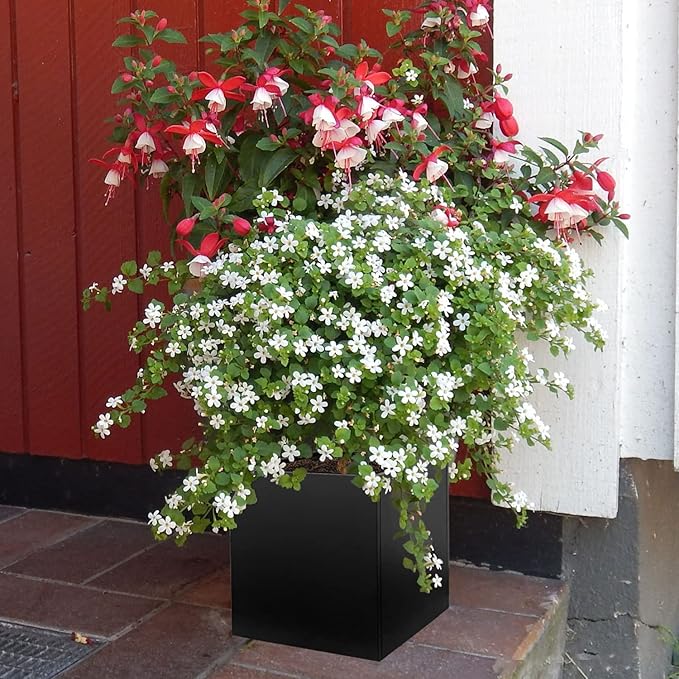 Galvanized Steel Planter Box Black Metal Planter 16Inch Square Indoor Outdoor - Image 5