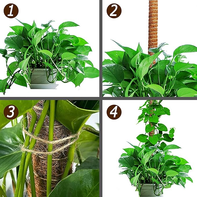 60 Inch Moss Pole for Plants Monstera, Tall Bendable Moss Poles for Climbing - Image 7