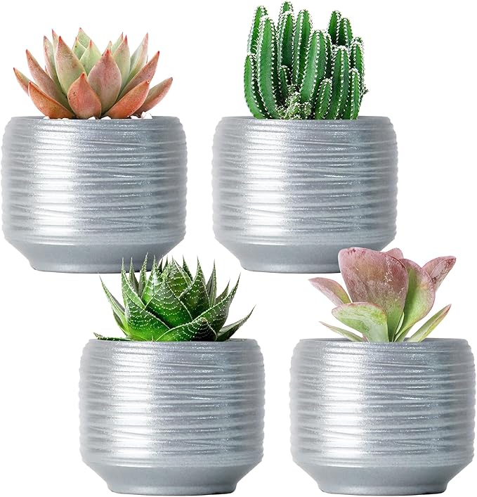Mini Succulent Planter Set – 3.7 Inch Ceramic Pots by Bestseler