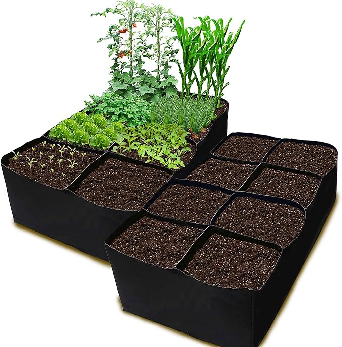 CJGQ 2 Pack Fabric Raised Garden Bed 6x3x1ft Garden Grow Bed Bags by CJGQ