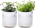 Phoenix Vine 4 Inch Self Watering Planter by Phoenix+Vine