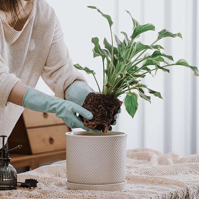 8 Inch Plant Pot: Ceramic Planter - Image 3